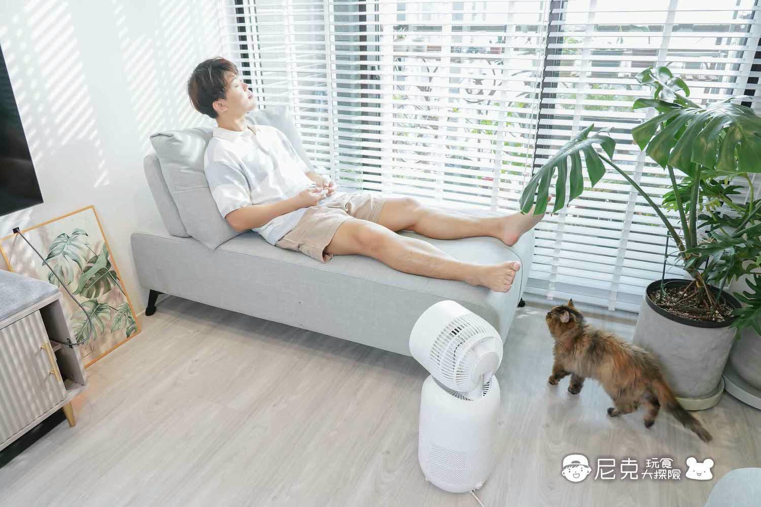 電暖器團購》Acerpure涼淨爐 四合一涼暖空氣循環清淨機 台灣氣候必備！小台省空間免收納！還有小夜燈喔