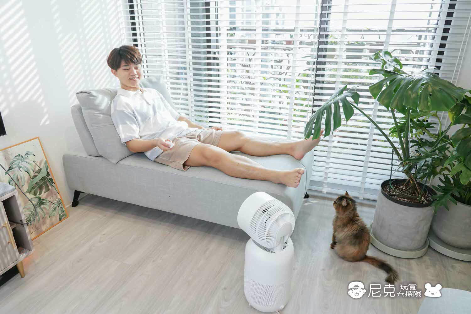 電暖器團購》Acerpure涼淨爐 四合一涼暖空氣循環清淨機 台灣氣候必備！小台省空間免收納！還有小夜燈喔