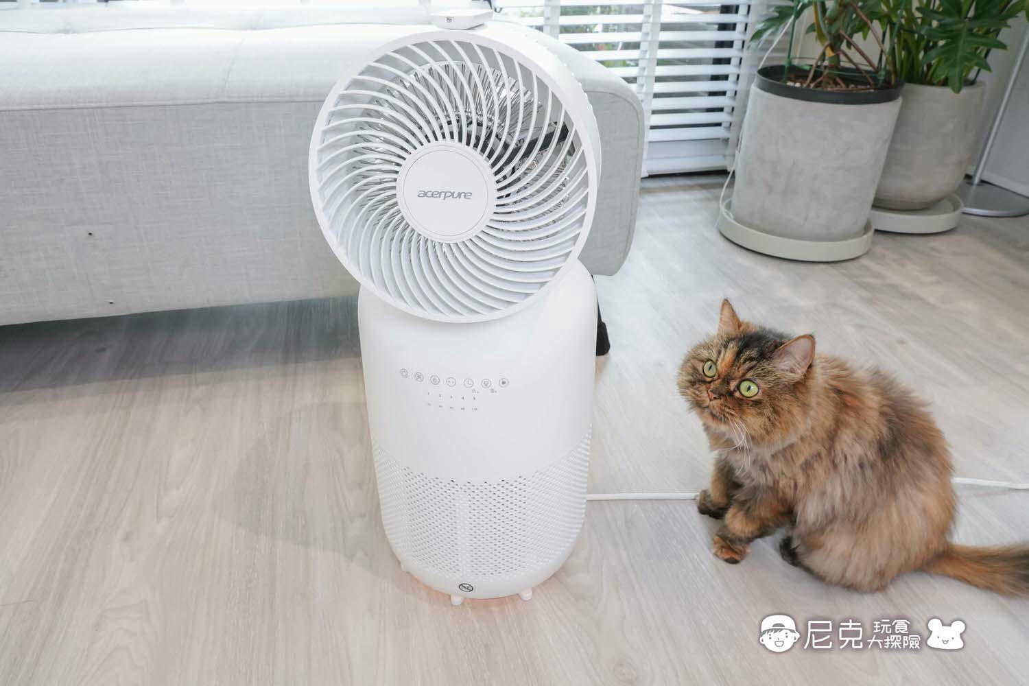 電暖器團購》Acerpure涼淨爐 四合一涼暖空氣循環清淨機 台灣氣候必備！小台省空間免收納！還有小夜燈喔