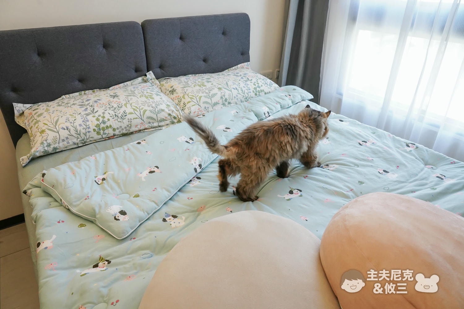棉被床包團購》格蕾寢飾La Belle暖暖被、羽絨被、純棉防蟎抗菌床包,超多款漂亮眠柔舒服~ - 第38張圖