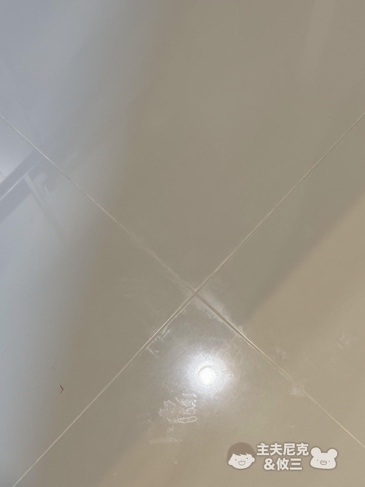 Goodies&co.團購》明星除臭洗衣球.中性清潔劑.蔬果碗盤洗碗精,年前大掃除環保植萃好安心 - 第55張圖 Goodies&co.團購》明星除臭洗衣球.中性清潔劑.蔬果碗盤洗碗精,年前大掃除環保植萃好安心