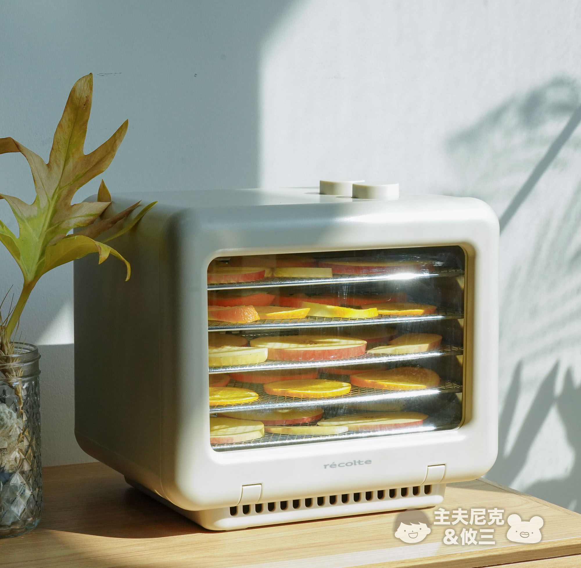 麗克特IH電磁爐團購》乾果機、電子鍋日本recolte通通有！強火料理超美味、完美收納