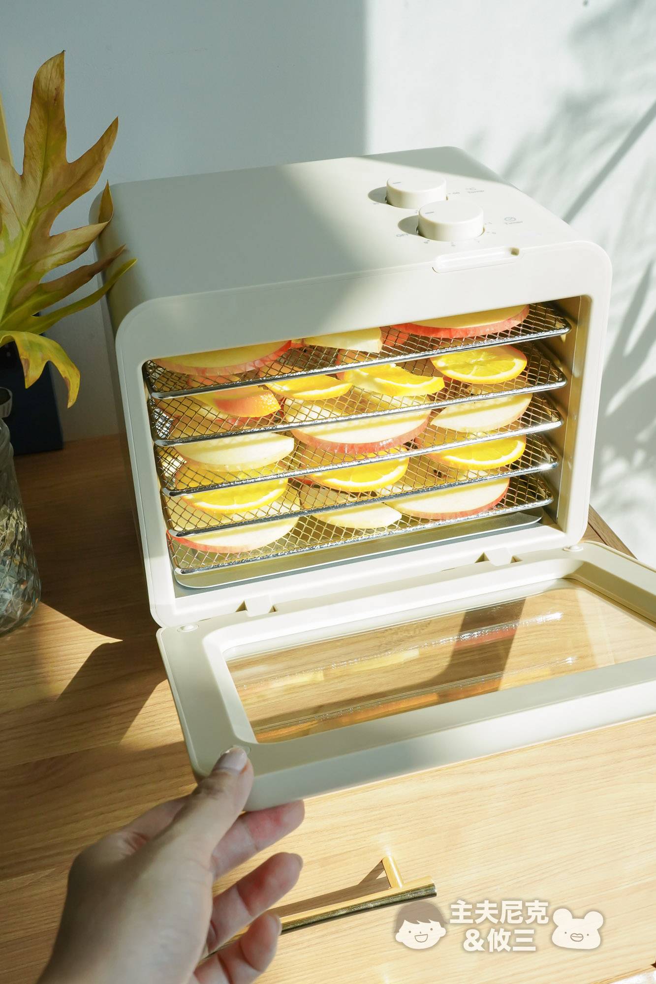 麗克特IH電磁爐團購》乾果機、電子鍋日本recolte通通有!強火料理超美味、完美收納 - 第5張圖 麗克特IH電磁爐團購》乾果機、電子鍋日本recolte通通有!強火料理超美味、完美收納