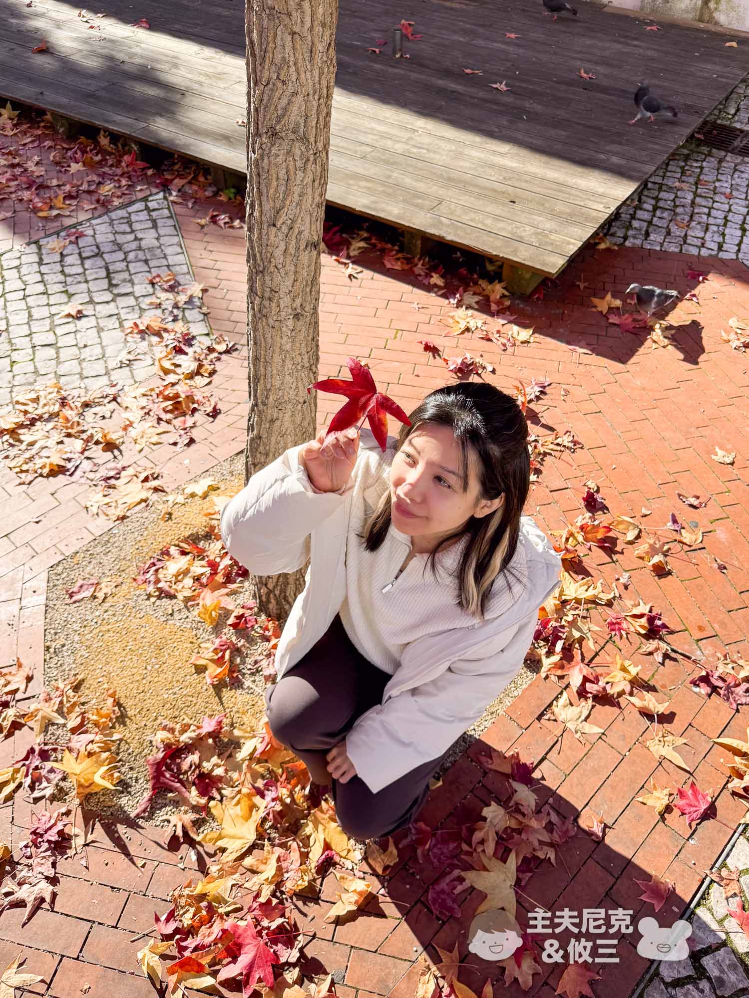 WIWI發熱衣團購》新款超保暖輕薄!好看石墨烯衝鋒衣/羽絨外套,寒流日本歐洲極地追光必備! - 第15張圖 WIWI發熱衣團購》新款超保暖輕薄!好看石墨烯衝鋒衣/羽絨外套,寒流日本歐洲極地追光必備!