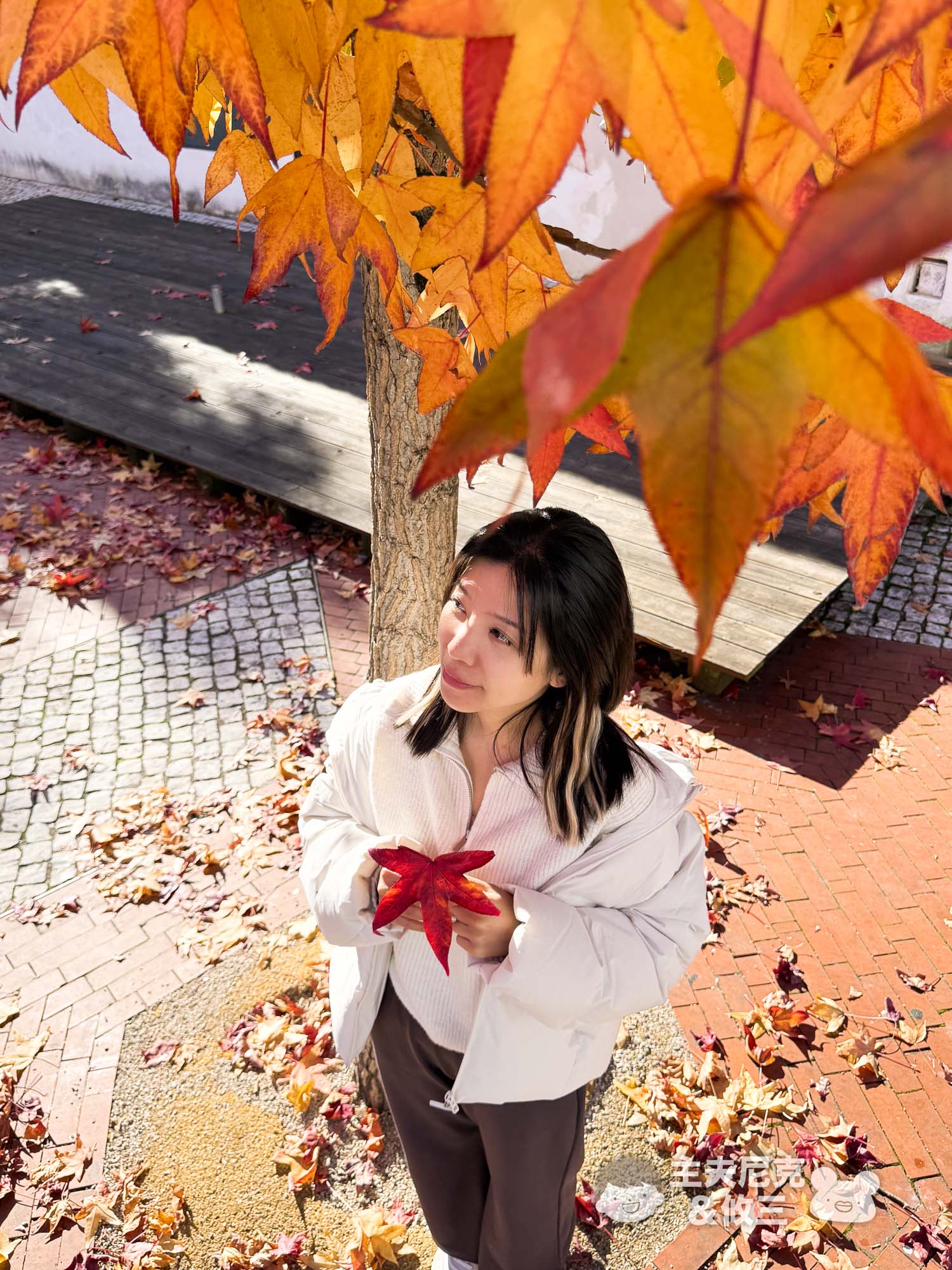 WIWI發熱衣團購》新款超保暖輕薄!好看石墨烯衝鋒衣/羽絨外套,寒流日本歐洲極地追光必備! - 第21張圖 WIWI發熱衣團購》新款超保暖輕薄!好看石墨烯衝鋒衣/羽絨外套,寒流日本歐洲極地追光必備!