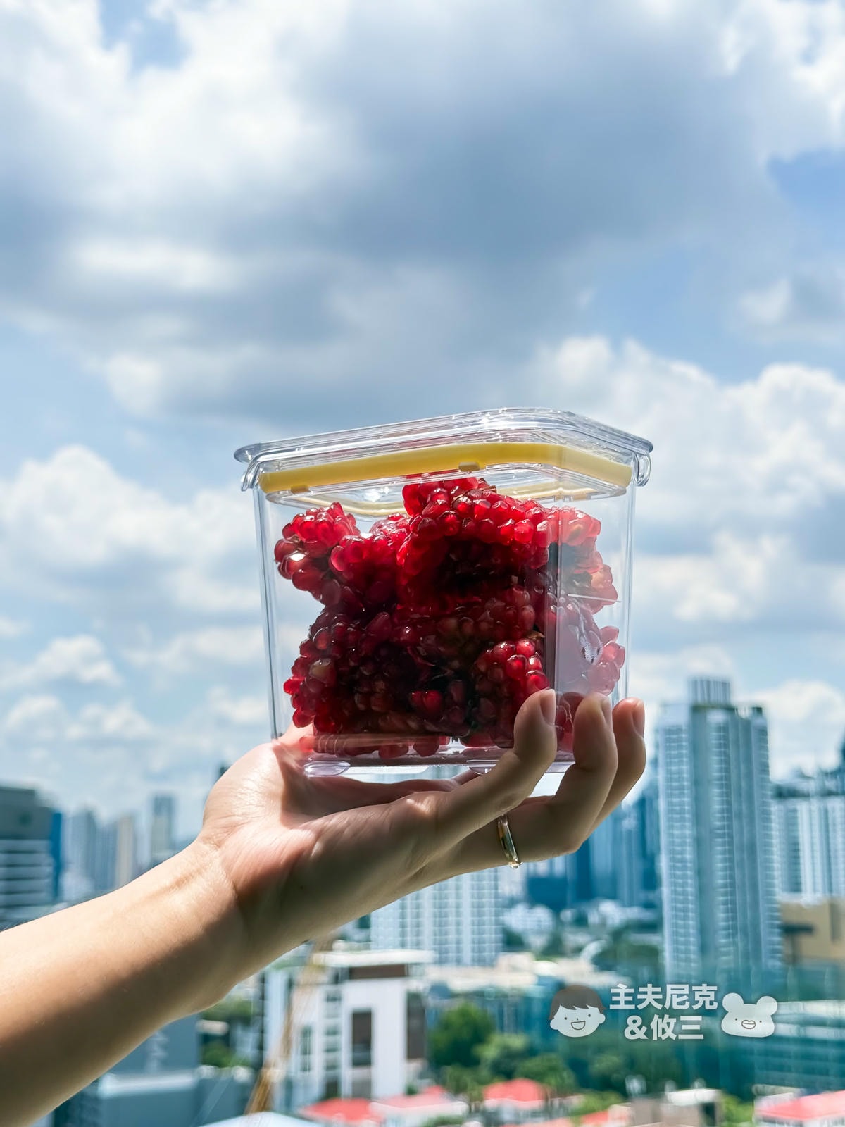 Prepara保鮮盒團購》2/2結團 沛樂生活！怕麻煩必買 一按即密封｜還有人氣LIFT可微波不鏽鋼保鮮盒