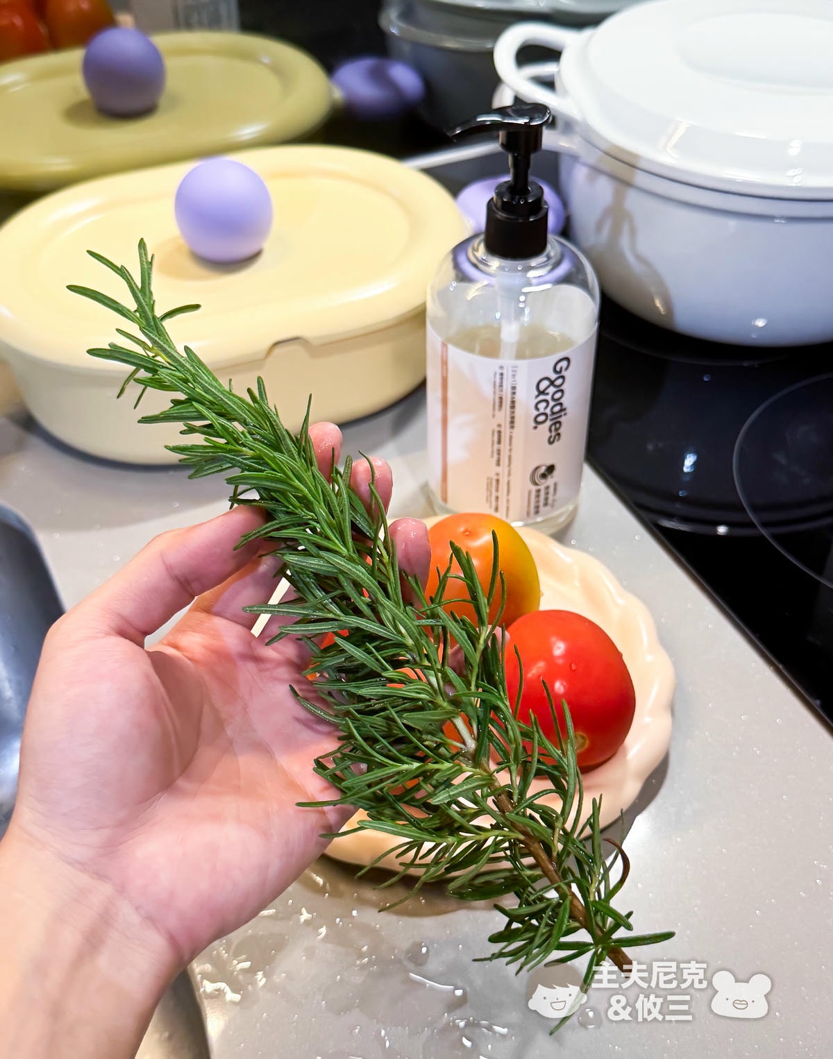 Goodies&co.團購》明星除臭洗衣球.中性清潔劑.蔬果碗盤洗碗精,年前大掃除環保植萃好安心 - 第31張圖 Goodies&co.團購》明星除臭洗衣球.中性清潔劑.蔬果碗盤洗碗精,年前大掃除環保植萃好安心