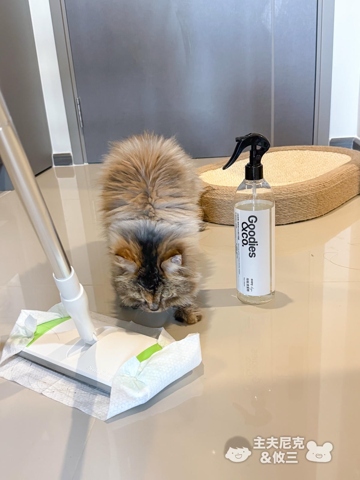 Goodies&co.團購》明星除臭洗衣球.中性清潔劑.蔬果碗盤洗碗精,年前大掃除環保植萃好安心 - 第60張圖 Goodies&co.團購》明星除臭洗衣球.中性清潔劑.蔬果碗盤洗碗精,年前大掃除環保植萃好安心