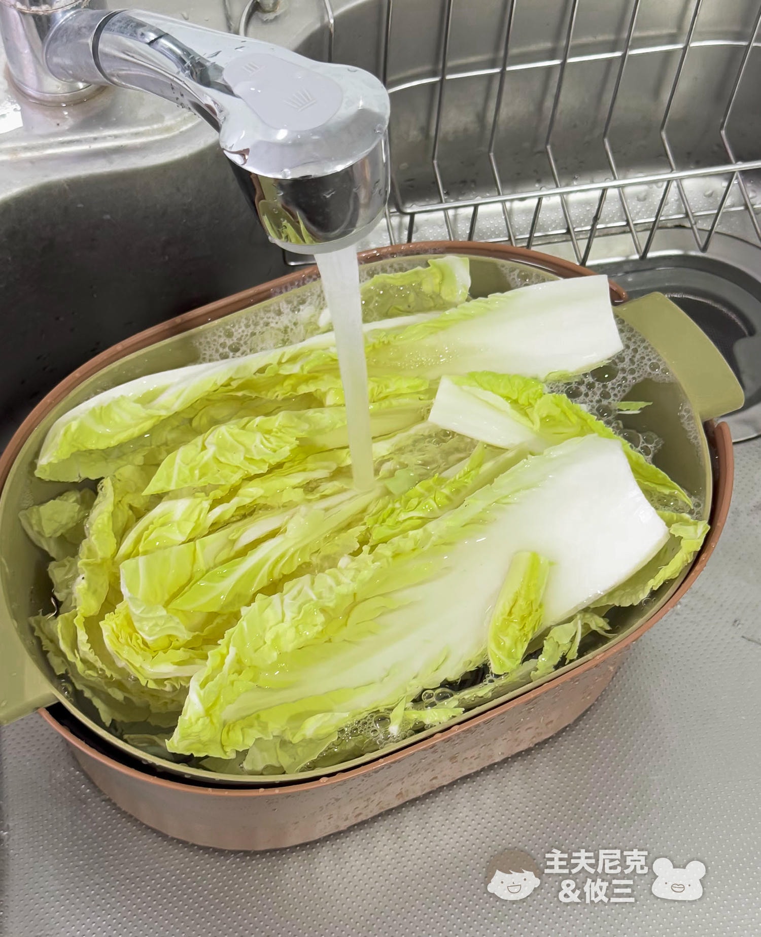 源鮮團購》6/9結團無毒生菜!超夯青花椰苗、羽衣甘藍，益生菌發酵0農藥.重金屬，沖水直接吃