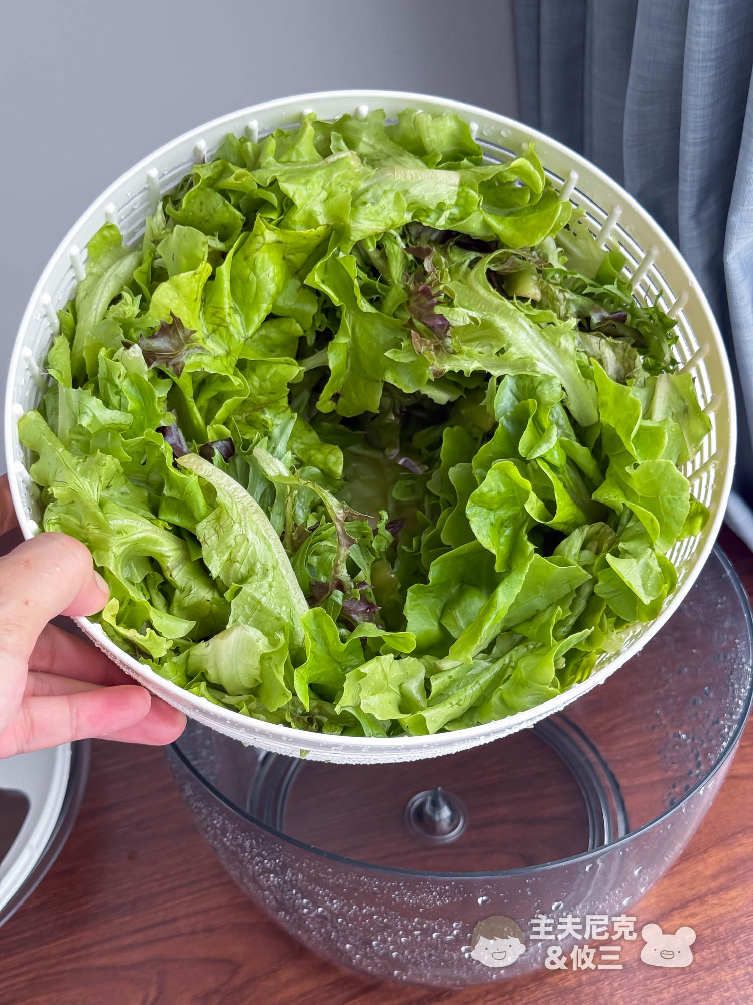 源鮮團購》6/9結團無毒生菜!超夯青花椰苗、羽衣甘藍，益生菌發酵0農藥.重金屬，沖水直接吃