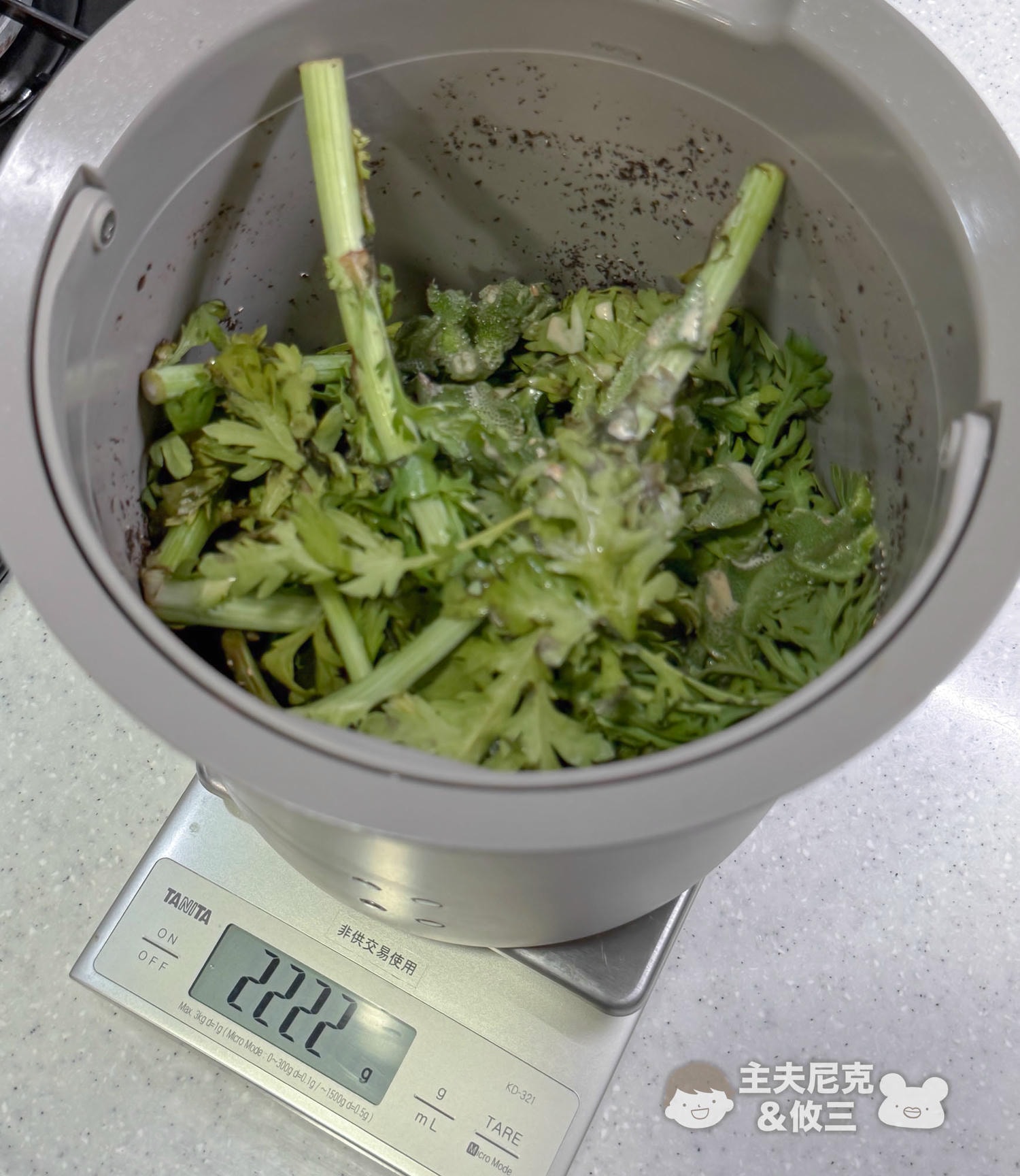 廚餘機團購》最新PaPaBin廚餘機.獨家加碼贈!克立淨臭氧滅菌除臭超衛生