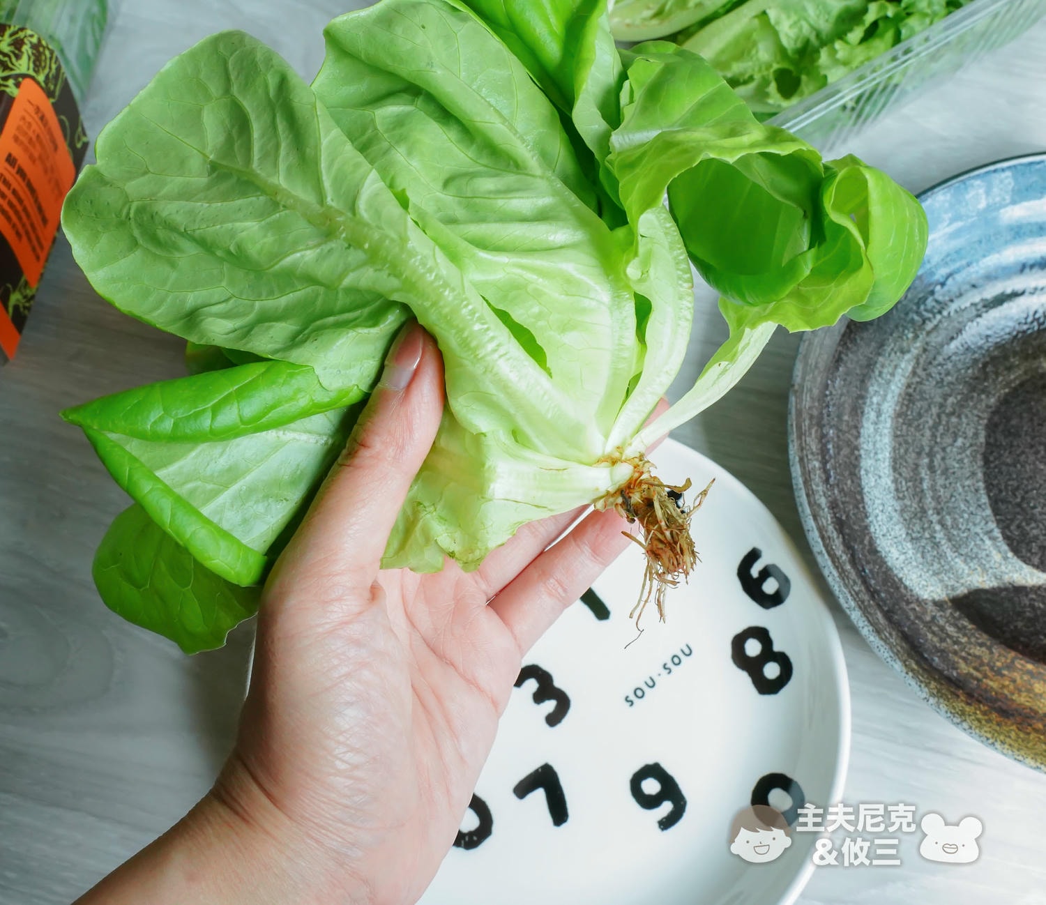 源鮮團購》6/9結團無毒生菜!超夯青花椰苗、羽衣甘藍，益生菌發酵0農藥.重金屬，沖水直接吃