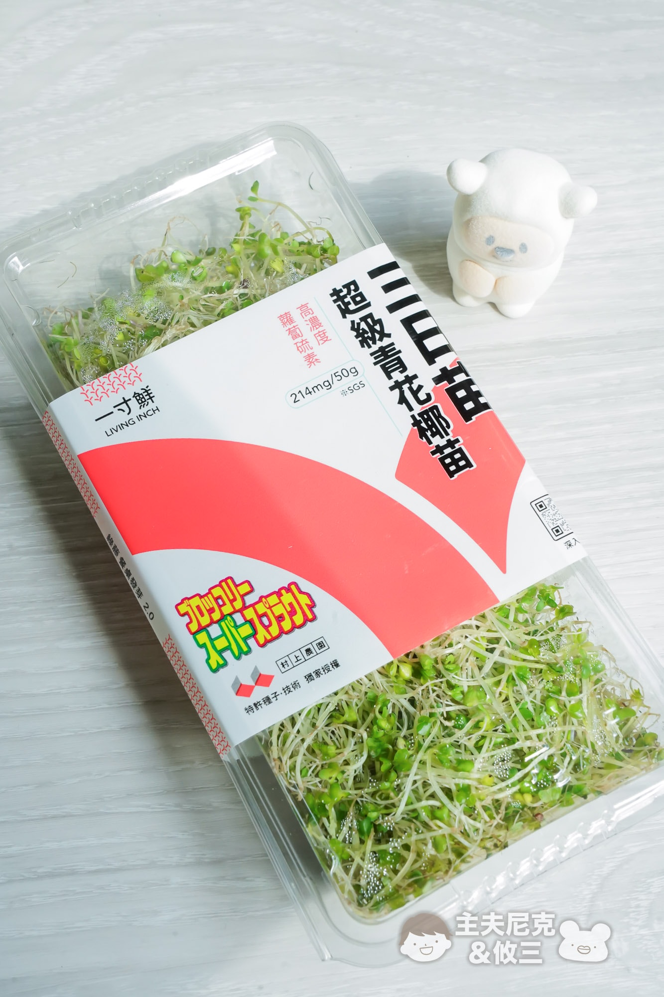源鮮團購》6/9結團無毒生菜!超夯青花椰苗、羽衣甘藍，益生菌發酵0農藥.重金屬，沖水直接吃