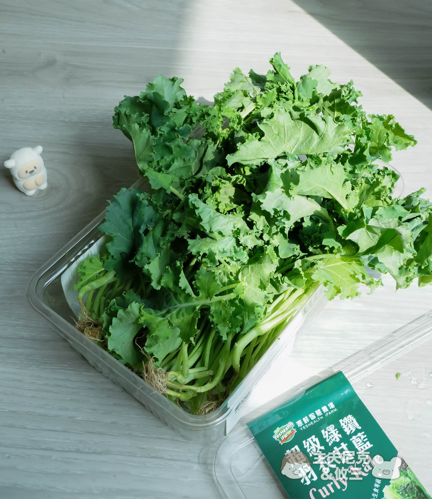 源鮮團購》6/9結團無毒生菜!超夯青花椰苗、羽衣甘藍，益生菌發酵0農藥.重金屬，沖水直接吃