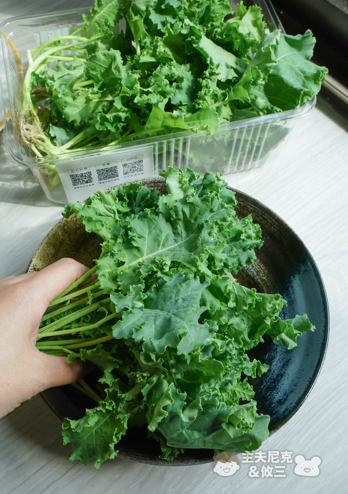 源鮮團購》6/9結團無毒生菜!超夯青花椰苗、羽衣甘藍，益生菌發酵0農藥.重金屬，沖水直接吃