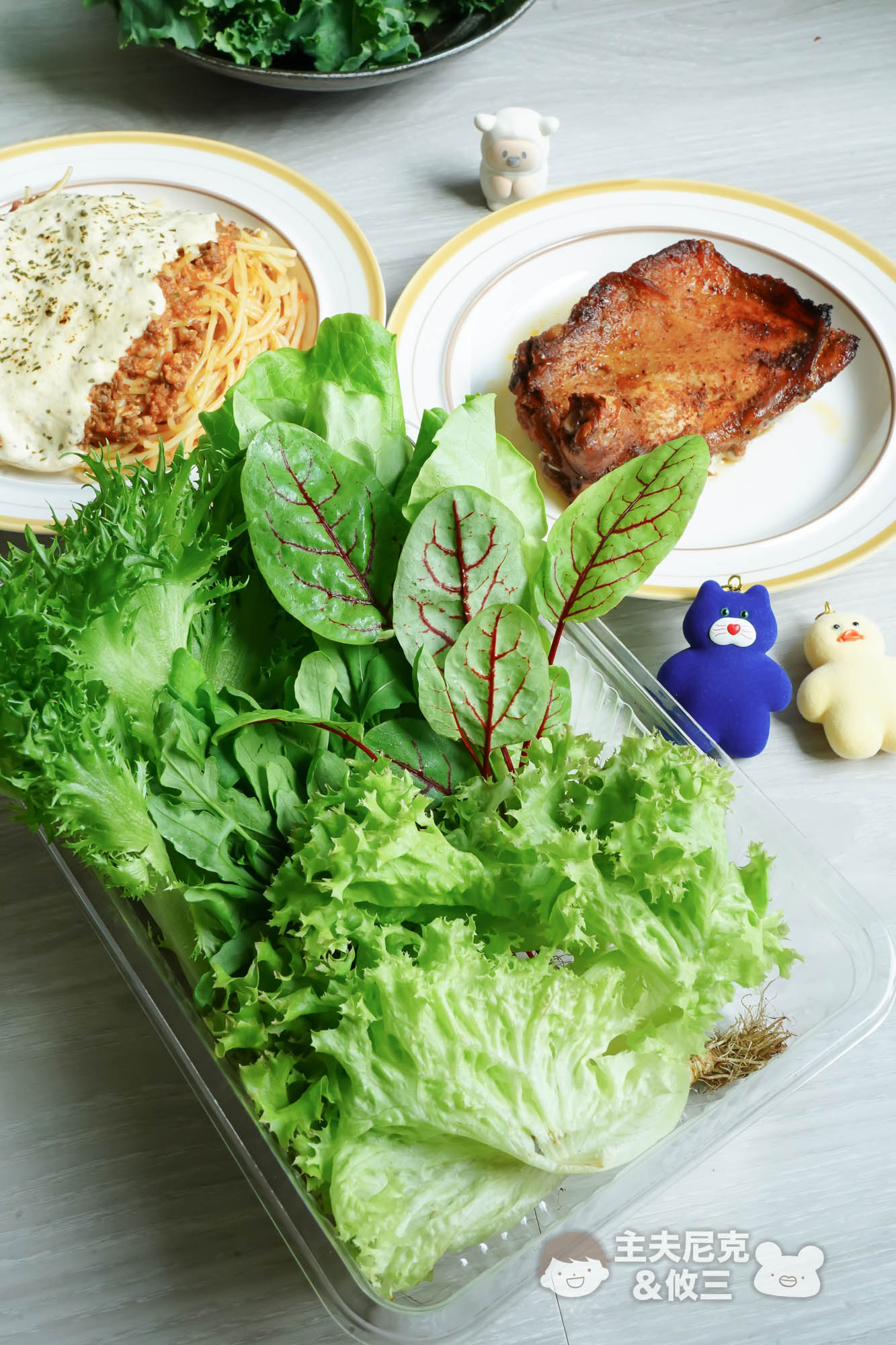 源鮮團購》6/9結團無毒生菜!超夯青花椰苗、羽衣甘藍，益生菌發酵0農藥.重金屬，沖水直接吃