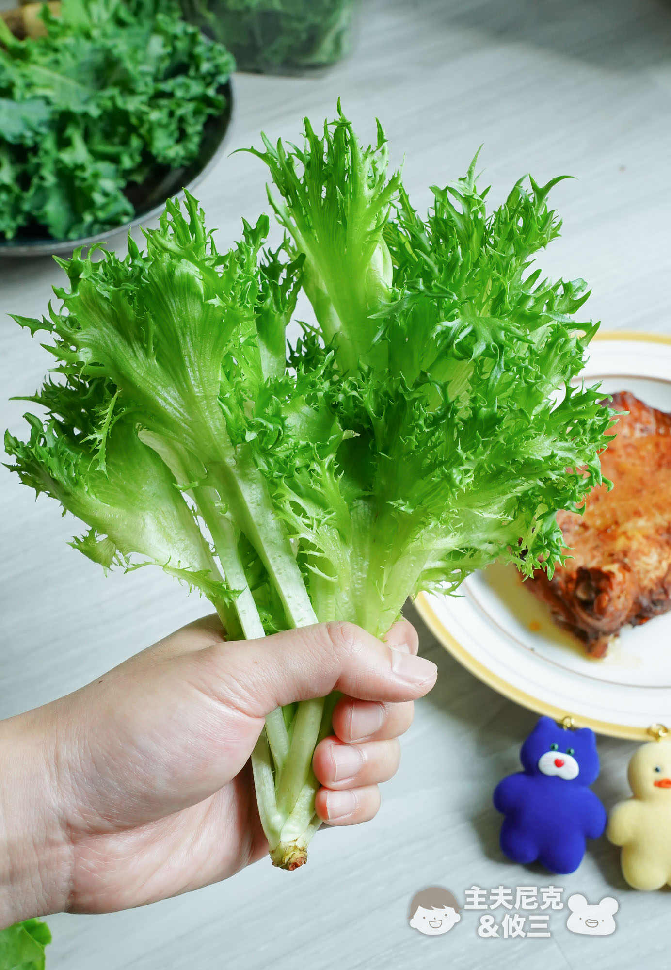 源鮮團購》6/9結團無毒生菜!超夯青花椰苗、羽衣甘藍，益生菌發酵0農藥.重金屬，沖水直接吃