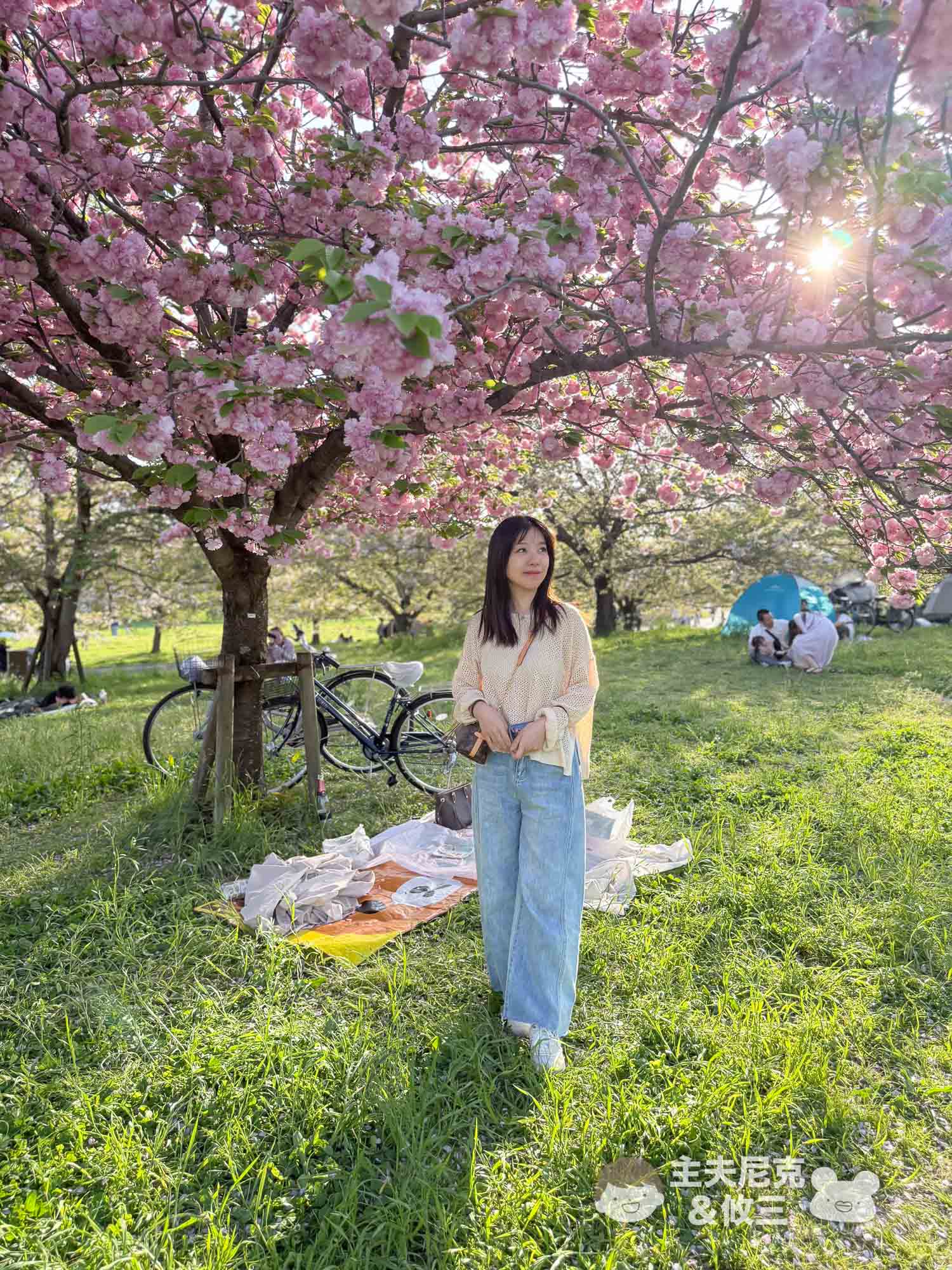 Cofit大餐包團購》6/24前滿額贈 大餐救援、苦瓜胜肽、極黑生薑黃、甲殼素囤貨團，聚餐、出國放縱必備!