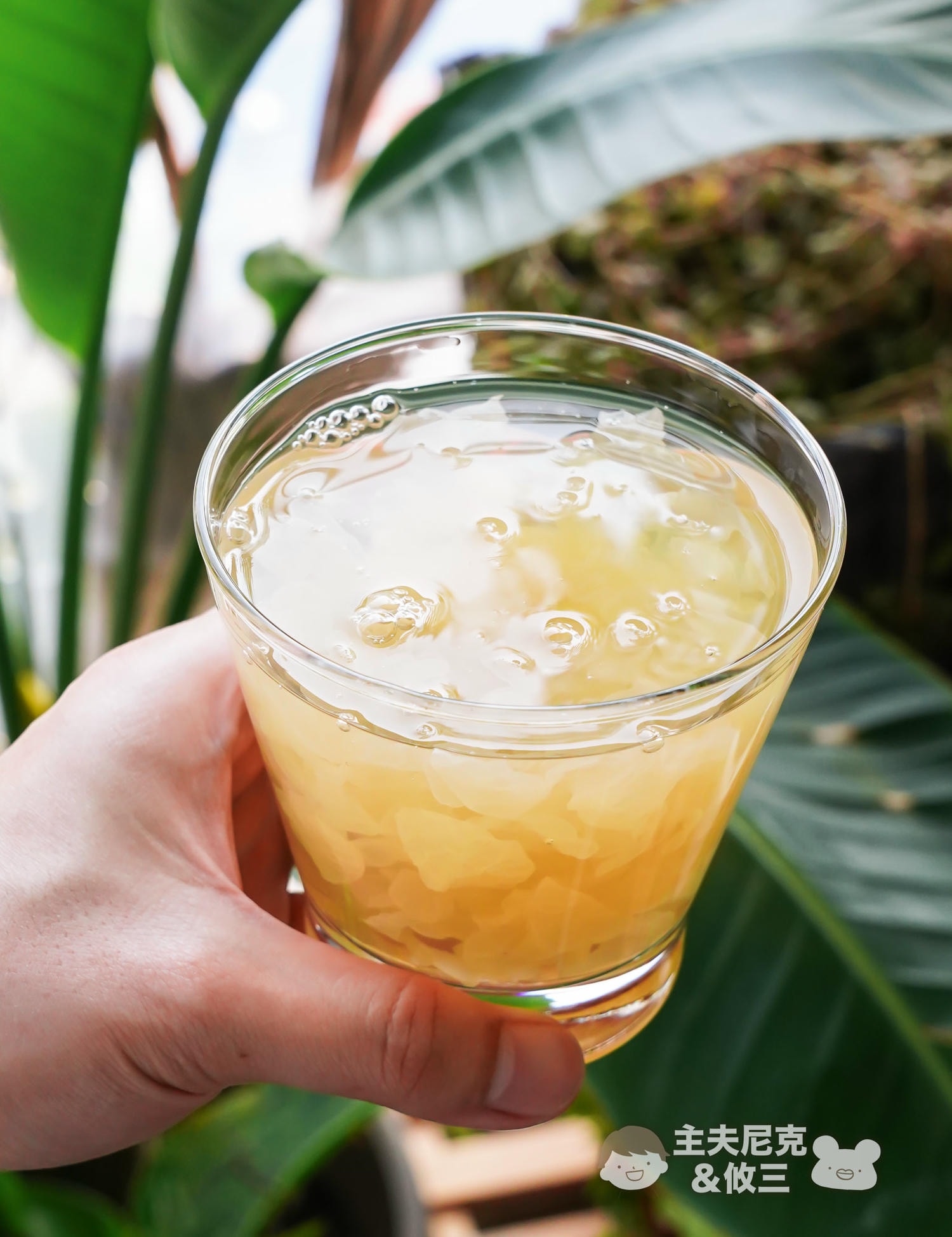 木耳露團購》7/20結團光茵樂活 玻尿酸.膠原胜肽鮮銀耳,阿里山白木耳源,自用送禮超讚飲控飲品 - 第3張圖 木耳露團購》7/20結團光茵樂活 玻尿酸.膠原胜肽鮮銀耳,阿里山白木耳源,自用送禮超讚飲控飲品