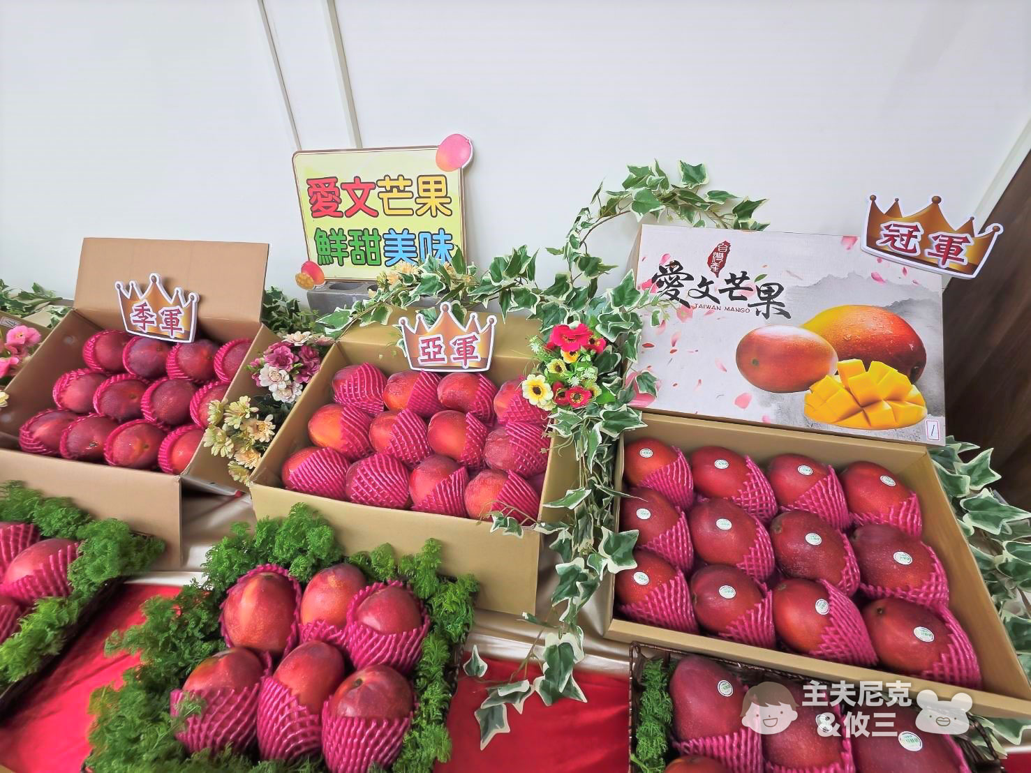 芒果團購》6/14截止2026芒果冠軍!超划算枋寮愛文最濃甜30年職人外銷大A果!果園直達