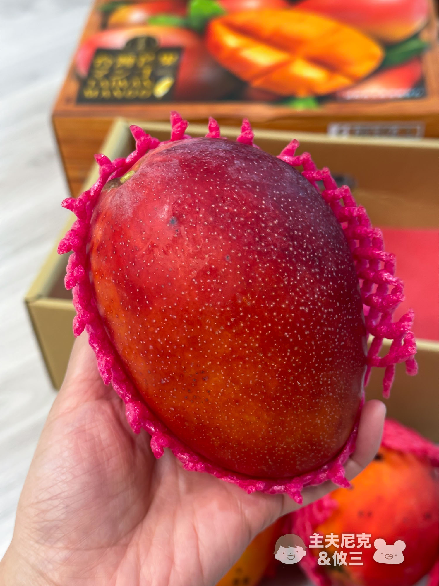 果子禮團購》6/10前限量預購枋寮芒果、玉荷包 有保固!濃甜甘香肉厚多汁 期間限定必吃 - 第10張圖 果子禮團購》6/10前限量預購枋寮芒果、玉荷包 有保固!濃甜甘香肉厚多汁 期間限定必吃